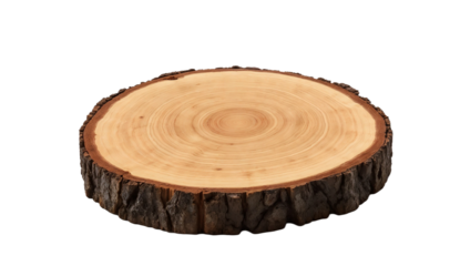 Wooden log slice, tree stump with rings and bark isolated on transparent background