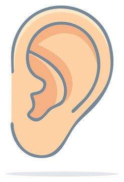 Ear Anatomy Illustration for Hearing Healthcare and Medical Educational Resources