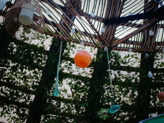 Hanging Orange Lamp Under Bamboo Roof with Green Leaves Background