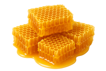 Honeycomb pieces with golden honey. Sweet organic food.