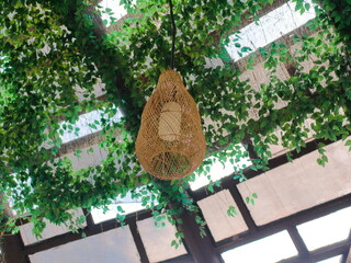Hanging Lamp in Natural Garden Café Ambience
