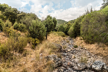 Climate change global warming concept. Dry river. Rocky dried-up river bottom without water during heat wave drought in summer season in central south Spain. Exposed riverbed.
