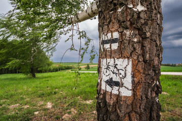 Cycling trail sign painted on a tree trunk along a countryside path with cloudy sky and green fields in Małopolska, Poland.