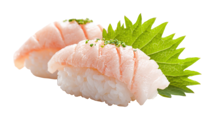 Two pieces of sushi with a green leaf 