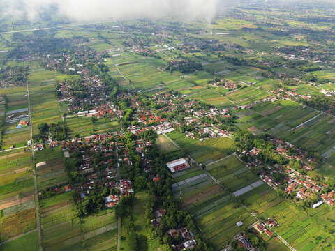 Aerial view of a mosaic of verdant rice paddies interspersed with clusters of terracotta-roofed houses under a soft, hazy sky, Klaten Regency, Central Java, Indonesia.