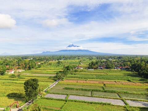 Aerial view of verdant rice fields and lush greenery stretching towards the majestic Mount Merapi shrouded in clouds, Klaten Regency, Central Java, Indonesia.