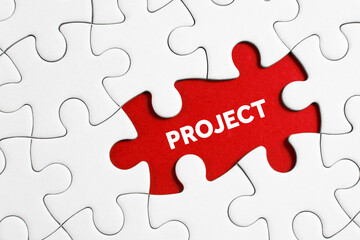 Fototapeta premium puzzle showing project word