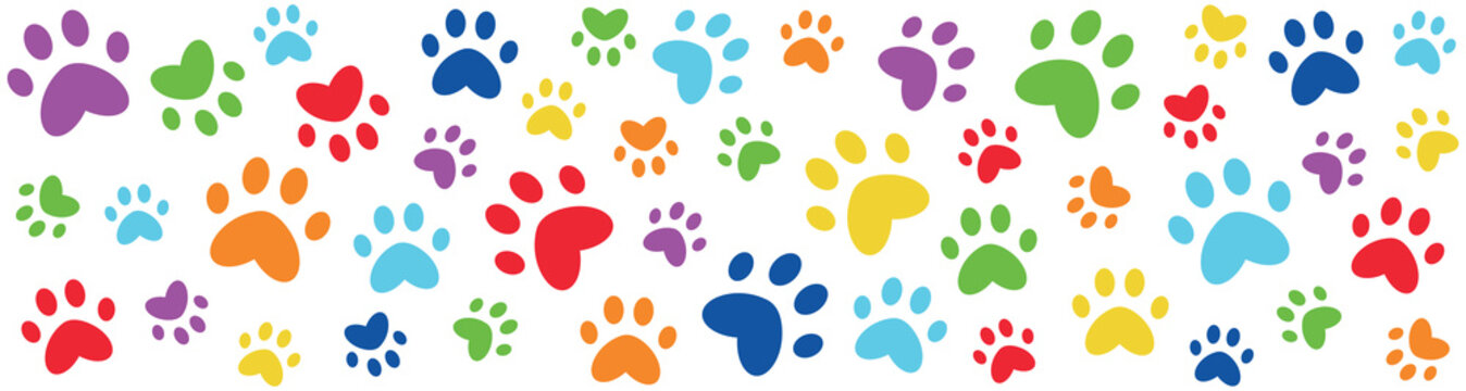 Colorful pet paw prints with bright rainbow colors. Cute animal footprint banner illustration for pet shop, veterinary, grooming, shelter, or playful design decoration