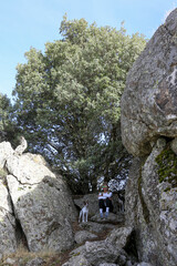 Blonde woman with a bun looking at the mountains after walking along the paths accompanied by her dog