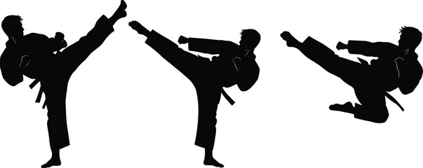 Martial arts silhouette, high kick pose, flying kick action, karate training, taekwondo technique, black figure, combat movement, discipline