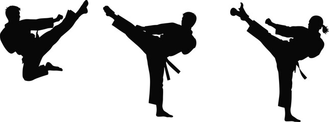Martial arts silhouette, high kick pose, karate jump, taekwondo technique, combat training, athletic movement, black figure, discipline, action stance