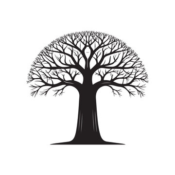 Baobab Tree Silhouette Without Leaves African Nature Icon black colour vector design and white background (3).eps