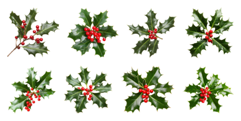 PNG Festive holly leaves with berries, element set on transparent background