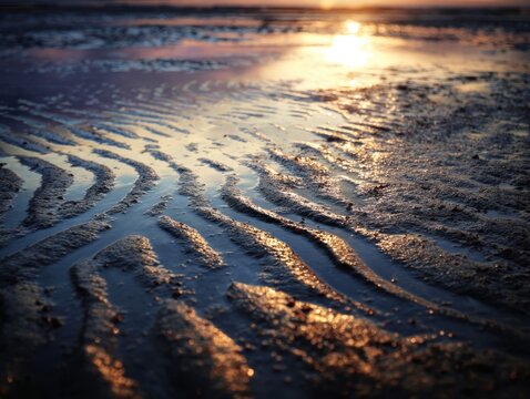 Close-up of textured sand patterns on a wet beach at sunset, shimmering water reflecting golden light, natural ripples created by receding ocean tide