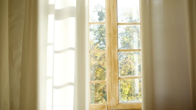 Soft light streams through a wooden pane window with autumn trees visible outside behind gentle draped curtains.