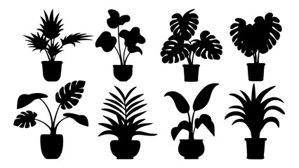 Set of black potted houseplant silhouettes including monstera and palm tree © Rani