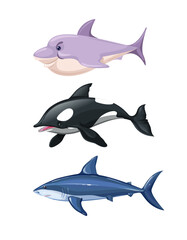 vector illustration of a shark