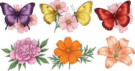 Butterfly and flower vector illustration, colorful insect with floral design, detailed botanical drawing, vibrant nature artwork, flat design art