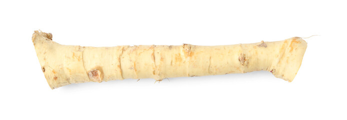 One fresh horseradish root isolated on white, top view