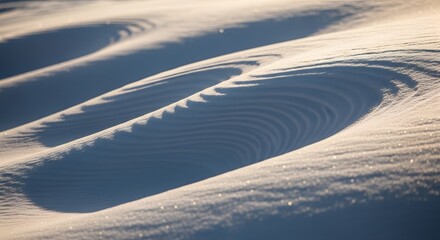 Wind-shaped sand dunes in desert sunlight