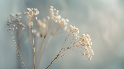 Soft Blurred Y2K floral background