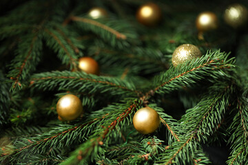 Beautiful spruce tree branches with Christmas ornaments as background, closeup