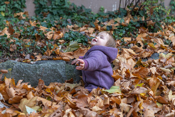 Baby spielt vergn&uuml;gt im Herbstlaub