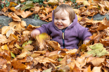 Baby spielt vergn&uuml;gt im Herbstlaub