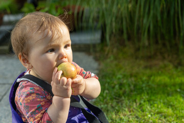 Baby kostet frisch geernteten Apfel im eigenen Garten