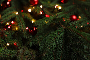 Beautiful spruce tree branches with Christmas ornaments and lights as background, closeup