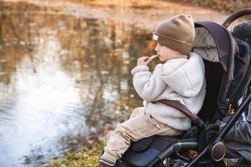 Little child sitting in a stroller near a calm lake in the autumn park. The toddler is dressed...