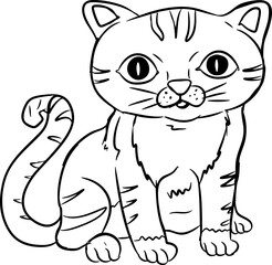 Hand Drawn Cat Illustration