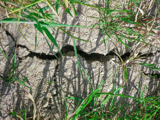 Closeup of cracked dry earth