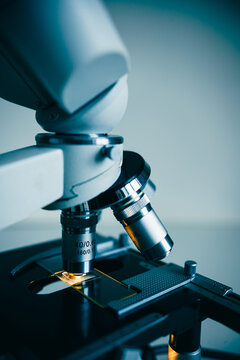 High-quality close-up image of a laboratory microscope being adjusted by a scientist in gloves. Represents science precision, healthcare innovation, and biotechnology research.