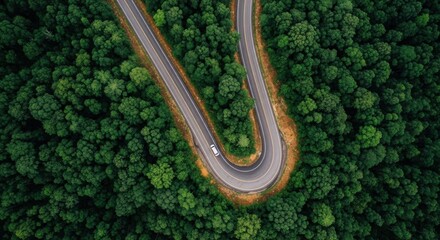 Aerial view of a winding asphalt road carving through a lush green forest canopy