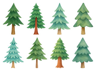 Obraz premium PNG Watercolor evergreen trees illustration, element set on transparent background