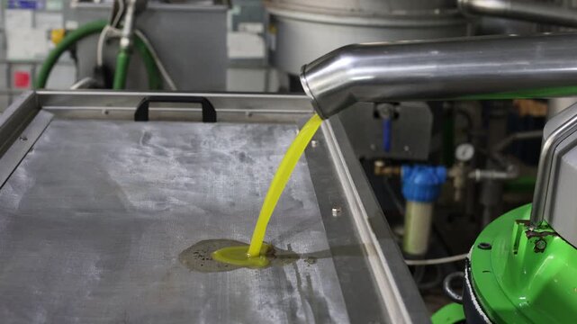 Fresh olive oil flowing from separator