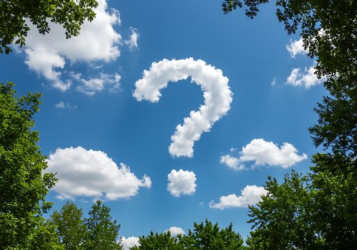 Searching for Answers in the Vast Sky of Uncertainty Amidst Greenery