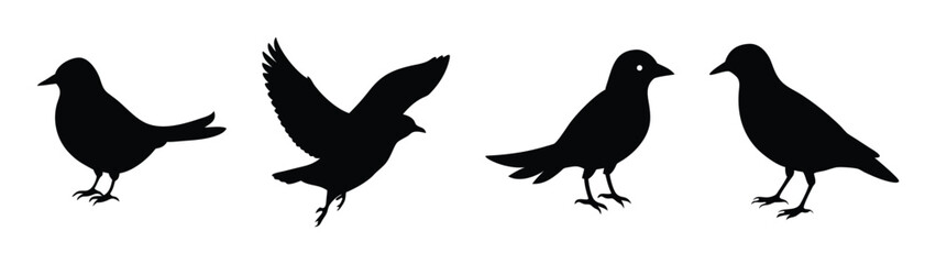 Silhouette bird vector art: flying, standing, and perched birds black and white illustration