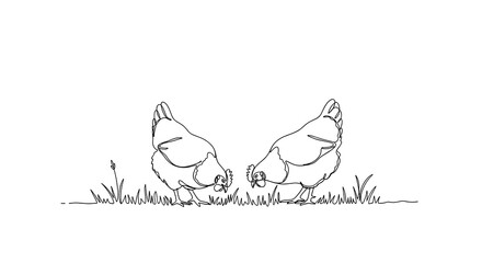 Two chickens foraging on grass in a minimalist sketch style  