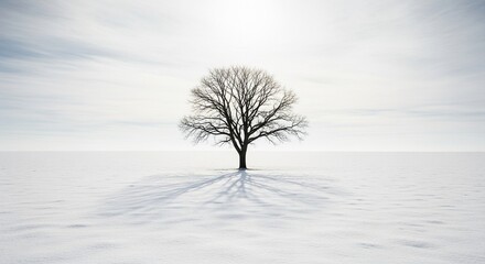 Lonely barren tree silhouette standing in vast snow field beneath soft cloudy sky, representing calm stillness and poetic winter beauty
