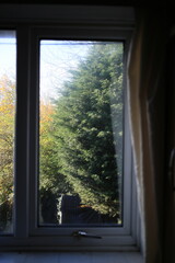 Fototapeta premium A calm window view overlooking a quiet backyard garden with lush trees, captured in soft natural light. Ideal for home lifestyle themes, mindfulness content, remote working visuals, and editorial stor