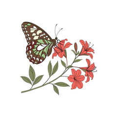 Butterfly on Red Flowers Illustration on White Background