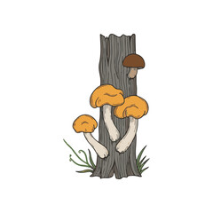Illustration depicts colorful mushrooms growing on a detailed, textured tree trunk, with grass.