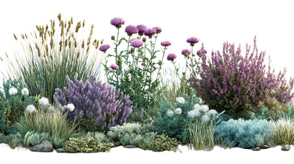 Assorted Purple White and Green Garden Flower Bed on Transparent Background, PNG