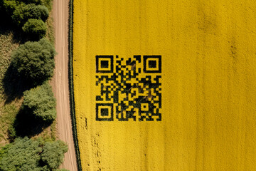 Striking QR code design emerges from vibrant yellow rapeseed field offering a unique aerial perspective for innovative marketing and tech campaigns.