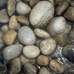 Close-up of Smooth, Wet River Stones and Pebbles in Clear Water, Natural Textures and Patterns, Tranquil and Serene Scene, Earthy Tones,