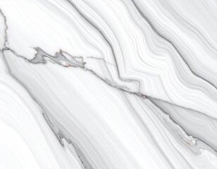 Obraz premium Abstract Swirl Pattern In White And Gray Tones With Subtle Textured Veins For Decorative Design
