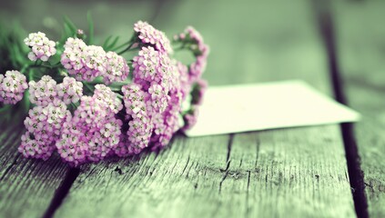 Pink yarrow blossoms lie on rustic wooden planks next to a blank card.