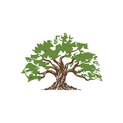 Stylized Tree Logo Icon.
A vibrant tree with green leaves and a twisted brown trunk, symbolizing growth and harmony with nature.